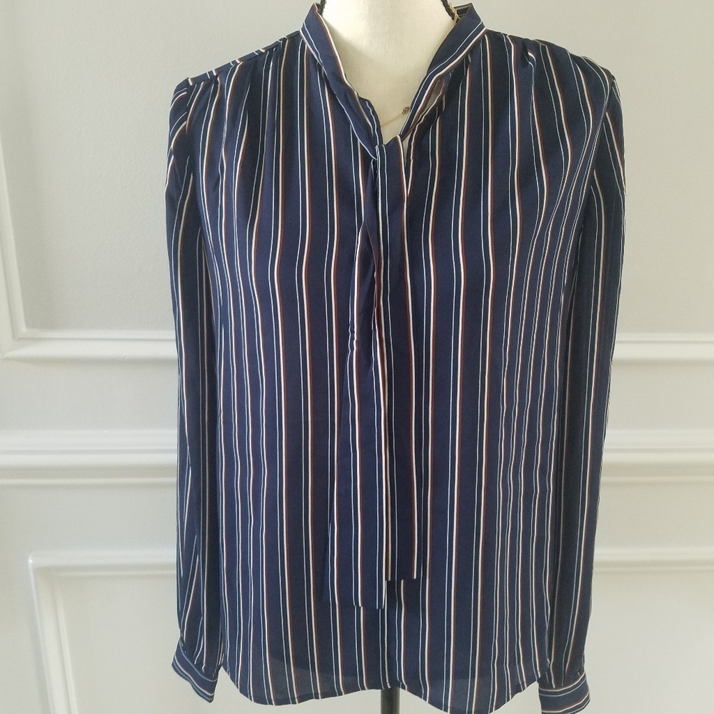 Stripped blue Multicolored long sleeve blouse